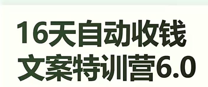16天自动收钱文案特训营6.0，学会儿每天自动咔咔收钱-梦凌网创