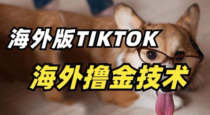 抖音海外版tiktok撸金技术，这个风口行业，赚钱真的不难【揭秘】-梦凌网创