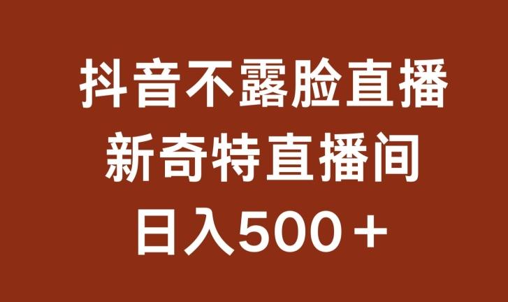 不露脸挂机直播，新奇特直播间，日入500+【揭秘】-梦凌网创