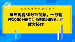每天观看30分钟视频，一月躺赚1000+美金！保姆级教程，可放大操作【揭秘】-梦凌网创