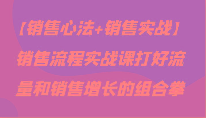 【销售心法+销售实战】销售流程实战课打好流量和销售增长的组合拳-梦凌网创