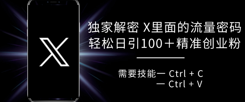 独家解密 X 里面的流量密码，复制粘贴轻松日引100+-梦凌网创