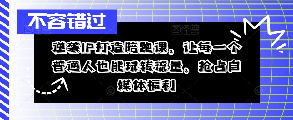 逆袭IP打造陪跑课，让每一个普通人也能玩转流量，抢占自媒体福利-梦凌网创