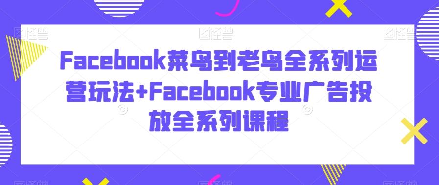 Facebook菜鸟到老鸟全系列运营玩法+Facebook专业广告投放全系列课程-梦凌网创
