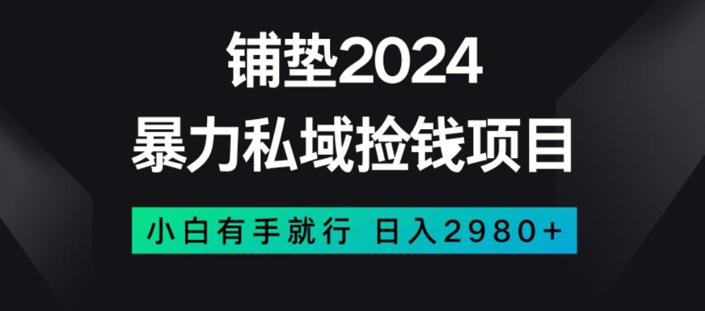 暴力私域捡钱项目，小白无脑操作，日入2980【揭秘】-梦凌网创