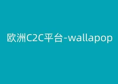 欧洲C2C平台-wallapop-kim跨境电商教程-梦凌网创