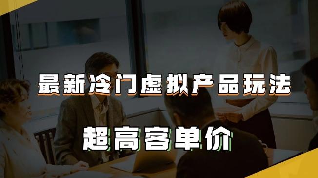 最新冷门虚拟产品玩法，超高客单价，月入2-3万＋【揭秘】-梦凌网创