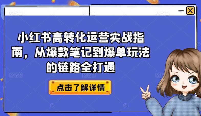 小红书高转化运营实战指南，从爆款笔记到爆单玩法的链路全打通-梦凌网创