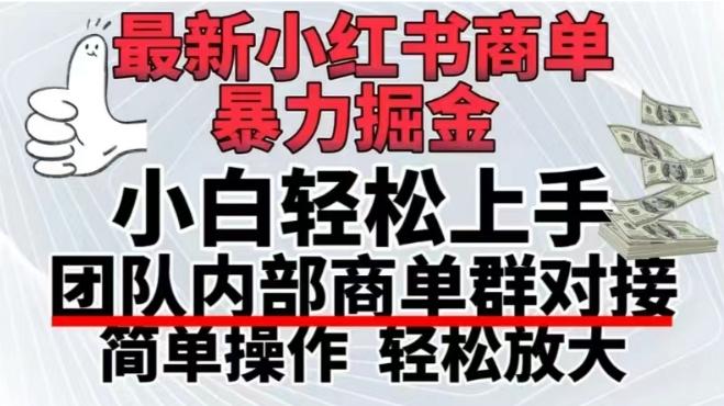 最新小红书商单，暴力掘金，单月稳定变现3W+-梦凌网创
