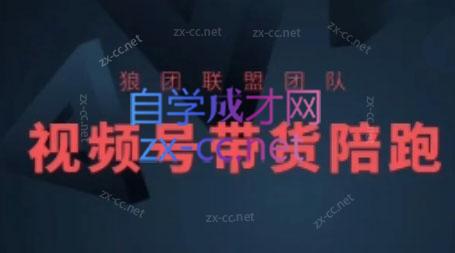 狼团联盟·2024视频号带货-梦凌网创