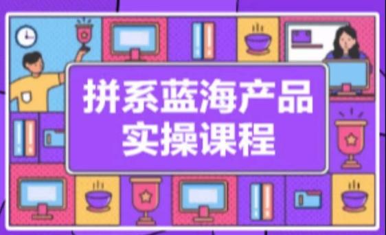 拼系冷门蓝海产品实操课程，从注册店铺到选品上架到流量维护环环相扣-梦凌网创