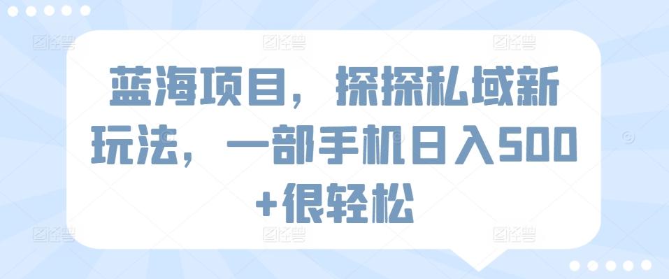 蓝海项目，探探私域新玩法，一部手机日入500+很轻松【揭秘】-梦凌网创