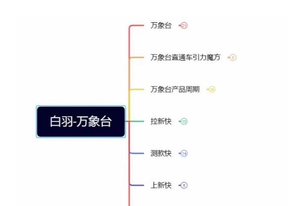 白羽·直引万搜索全篇，从0-1，多个类目实操经验总结付费-梦凌网创