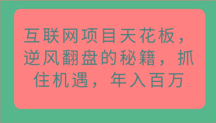 互联网项目天花板，逆风翻盘的秘籍，抓住机遇，年入百万-梦凌网创