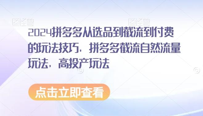 2024拼多多从选品到截流到付费的玩法技巧，拼多多截流自然流量玩法，高投产玩法-梦凌网创