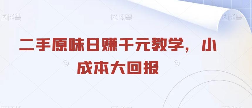 二手原味日赚千元教学，小成本大回报-梦凌网创