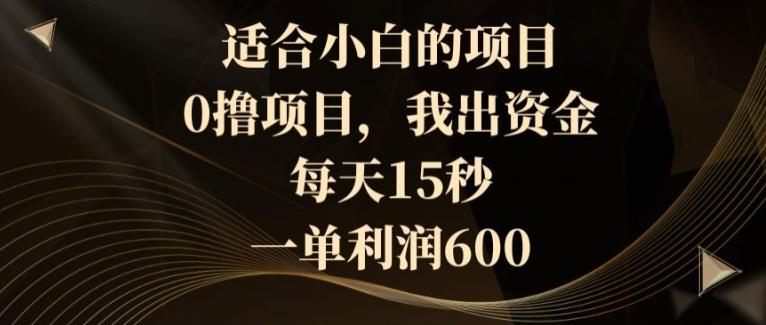 适合小白的项目，0撸项目，我出资金，每天15秒，一单利润600-梦凌网创