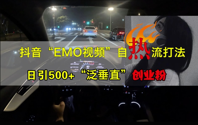 抖音EMO视频自热打法，日引500+“泛垂直”创业粉-梦凌网创