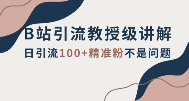B站引流教授级讲解，细节满满，日引流100+精准粉不是问题【揭秘】-梦凌网创