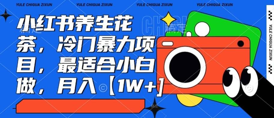 小红书养生花茶，冷门暴力项目，最适合小白做，月入【1W+】-梦凌网创
