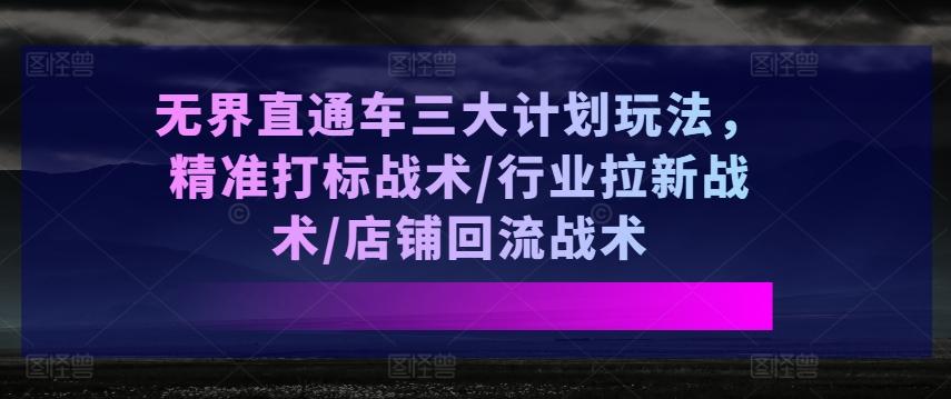 无界直通车三大计划玩法，精准打标战术/行业拉新战术/店铺回流战术-梦凌网创