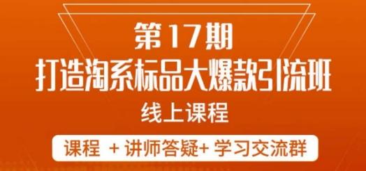 南掌柜-第17期打造淘系标品大爆款，5天线上课-梦凌网创