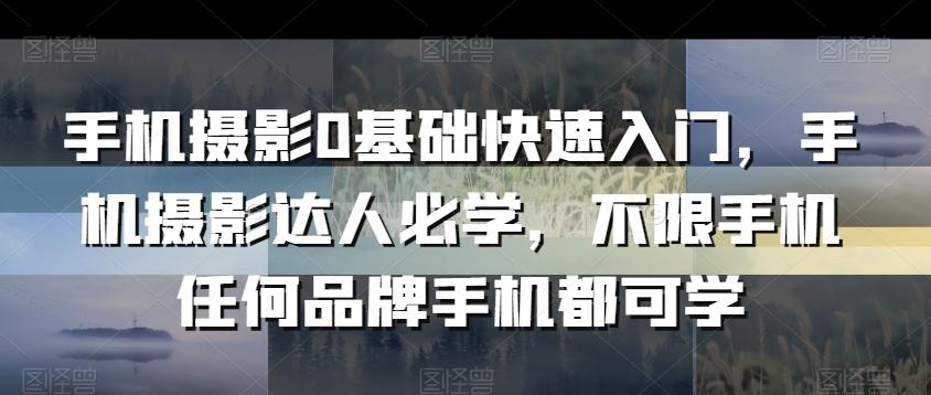 手机摄影0基础快速入门，手机摄影达人必学，不限手机任何品牌手机都可学-梦凌网创