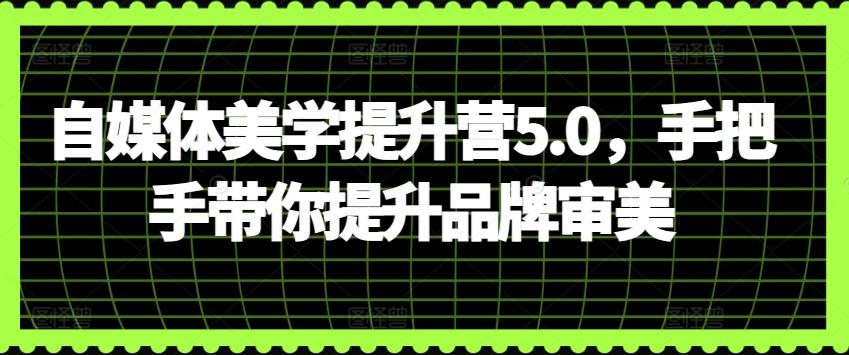 自媒体美学提升营5.0，手把手带你提升品牌审美-梦凌网创