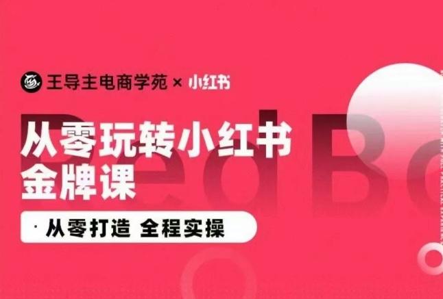 王导主·小红书电商运营实操课，​从零打造  全程实操-梦凌网创