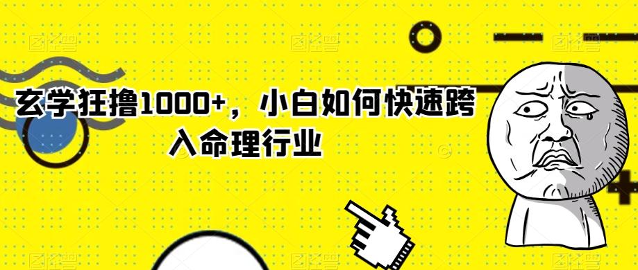 玄学狂撸1000+，小白如何快速跨入命理行业-梦凌网创