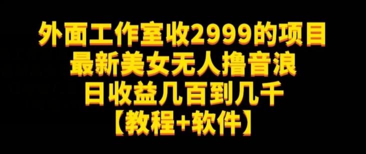 外面工作室收2999的项目最新美女无人撸音浪日收益几百到几千【教程+软件】（仅揭秘）-梦凌网创