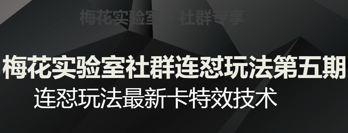 梅花实验室社群连怼玩法第五期，视频号连怼玩法最新卡特效技术-梦凌网创