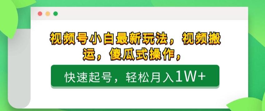 视频号小白最新玩法，视频搬运，傻瓜式操作，快速起号，轻松月入1W+-梦凌网创