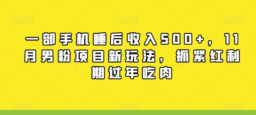 一部手机睡后收入500+，11月男粉项目新玩法，抓紧红利期过年吃肉-梦凌网创