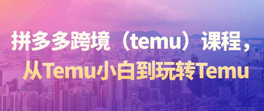 拼多多跨境（temu）课程，从Temu小白到玩转Temu-梦凌网创