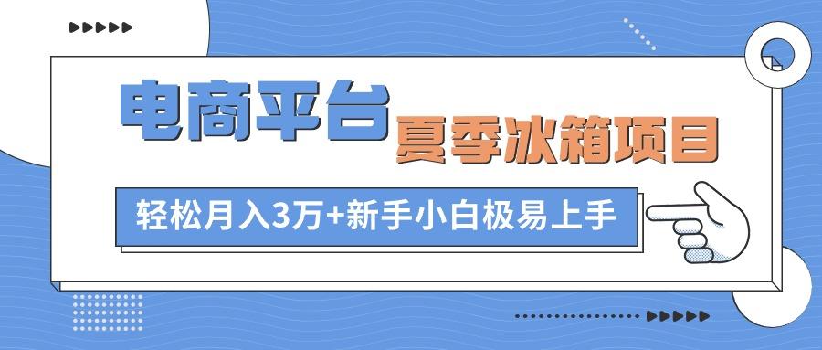 电商平台夏季冰箱项目，轻松月入3万+，新手小白极易上手-梦凌网创