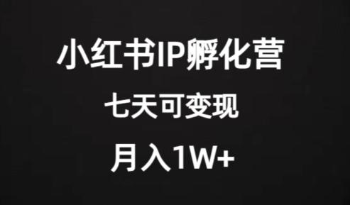 价值2000+的小红书IP孵化营项目，超级大蓝海，七天即可开始变现，稳定月入1W+-梦凌网创