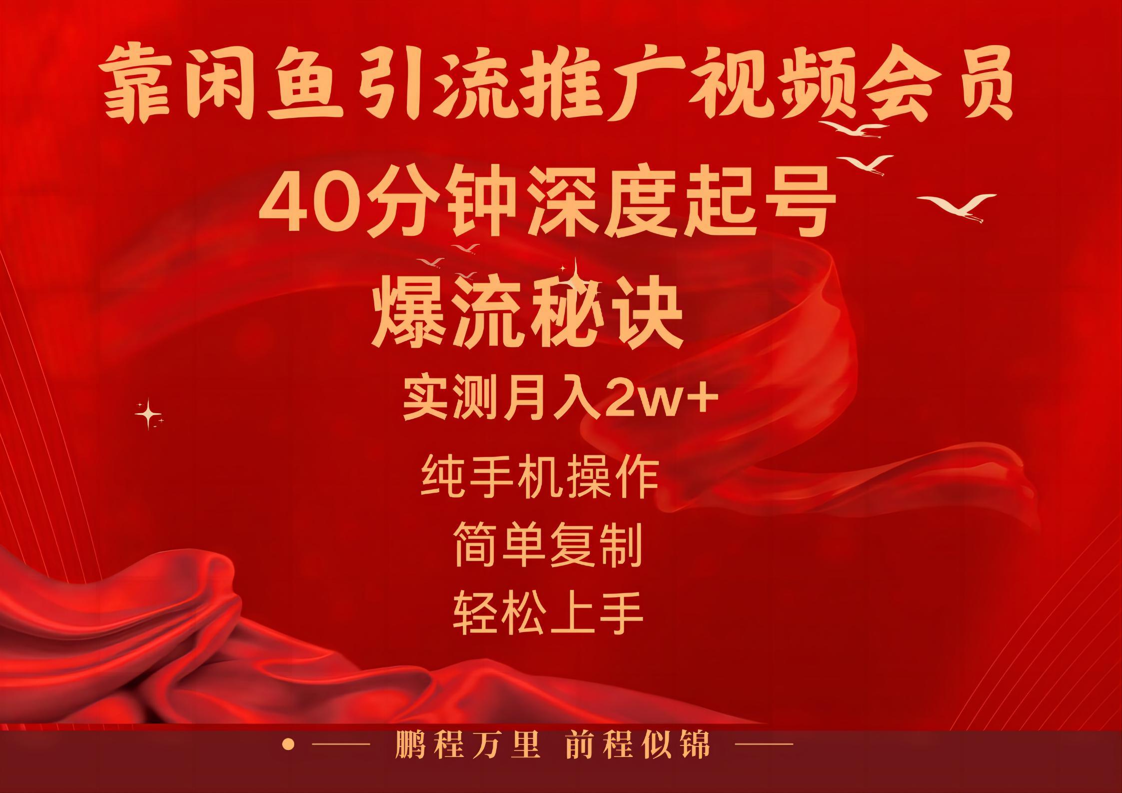 闲鱼暴力引流推广视频会员，能做到日入2W+，操作简单-梦凌网创