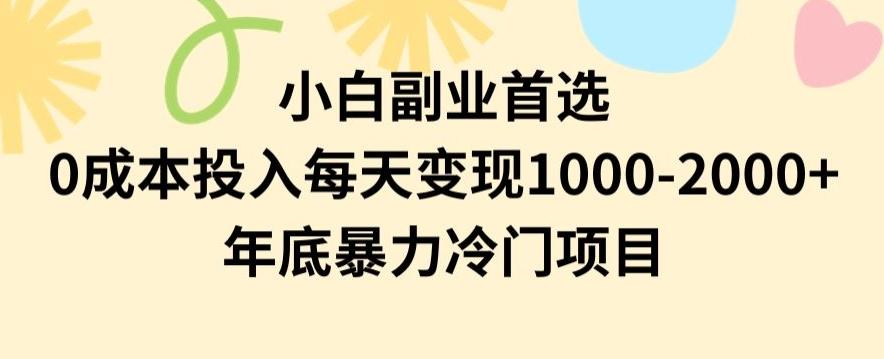 小白副业首选，0成本投入，每天变现1000-2000年底暴力冷门项目【揭秘】-梦凌网创