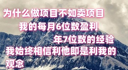 做项目不如卖项目，每月6位数盈利，年7位数经验-梦凌网创