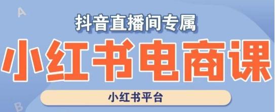 小红书电商高级运营课程，实操教学+案例分析-梦凌网创