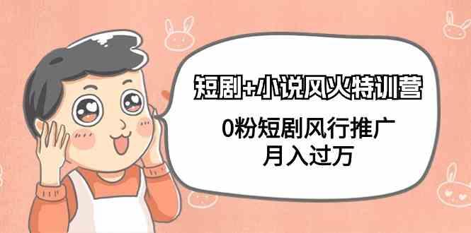 小说+短剧风火特训营，0粉短剧小说风行推广，实现月入过万-梦凌网创